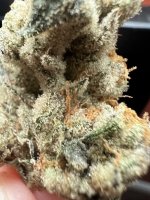 IMG_4467.jpeg