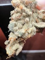 IMG_4483.jpeg