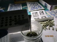 Capsules 008 after spreading into cap filled holes scrap excess into jar.JPG