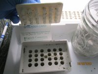 Capsules 011 after compaction.JPG