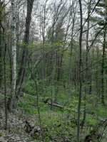 20200520_201641.jpg