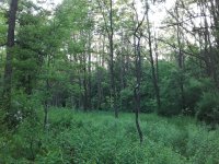 20200615_195443.jpg