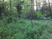 20200615_195455.jpg