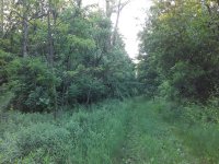 20200615_195502.jpg