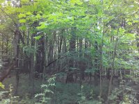 20200615_195910.jpg