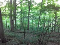 20200615_200713.jpg