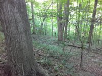 20200615_200728.jpg