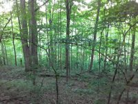 20200615_200739.jpg