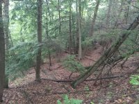 20230708_143346.jpg