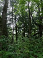 20230708_142319.jpg