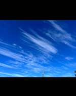 257900DD-088E-4AFD-B409-02DE9723528B.jpeg