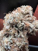 IMG_7445.jpeg