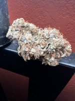 IMG_7428.jpeg