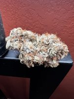IMG_7423.jpeg
