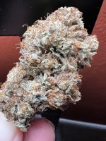 IMG_7442.jpeg