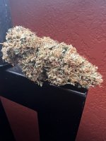 IMG_7474.jpeg