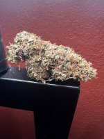 IMG_7448.jpeg