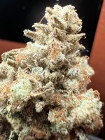 IMG_7514.jpeg