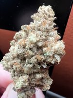 IMG_7513.jpeg