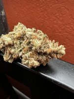 IMG_7499.jpeg