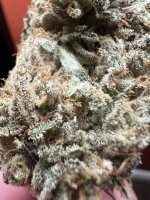 IMG_7547.jpeg
