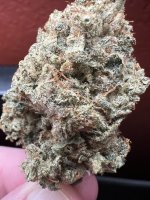 IMG_7635.jpeg
