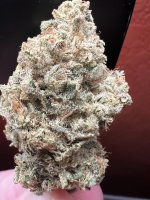 IMG_7629.jpeg