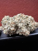 IMG_7622.jpeg