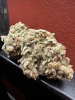 IMG_7620.jpeg