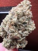 IMG_7614.jpeg