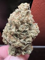 IMG_7627.jpeg