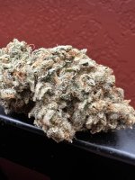 IMG_7616.jpeg