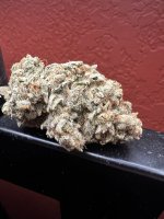 IMG_7617.jpeg