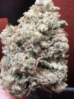 IMG_7611.jpeg