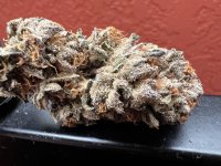 IMG_7747.jpeg