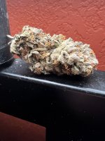 IMG_7739.jpeg