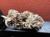 IMG_7744.jpeg