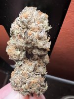 IMG_7752.jpeg