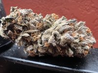 IMG_7746.jpeg