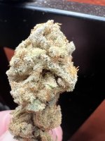IMG_8274.jpeg