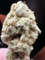 IMG_8271.jpeg