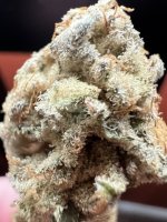 IMG_8268.jpeg