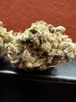 IMG_8258.jpeg