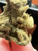 IMG_8270.jpeg