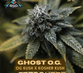 Ghost-Og2-768x947.png