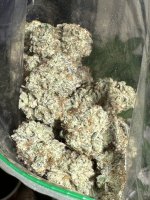 IMG_1644.jpeg