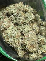 IMG_1645.jpeg