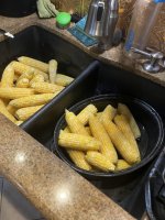 IMG_9300.jpeg