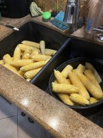 IMG_9302.jpeg