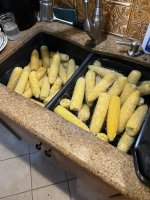 IMG_9339.jpeg